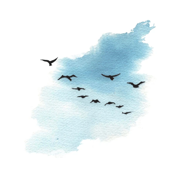 Migration